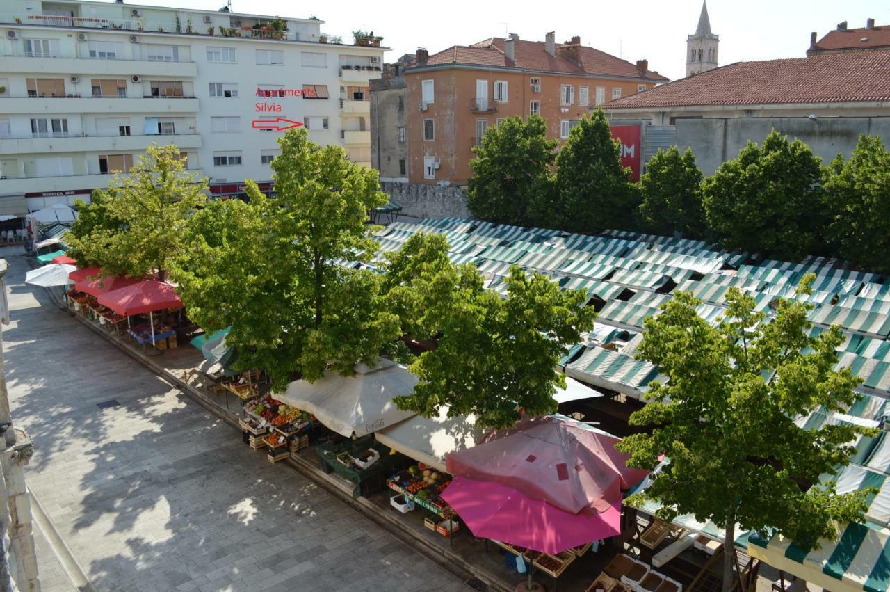Silvia * Zadar